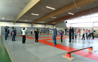 Matinée cirque en famille - école de cirque En Piste - Cesson-Sévigné - Rennes Metropole