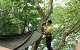 Cirque perché - école de cirque En Piste - Cesson-Sévigné - Rennes Metropole
