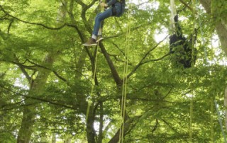 En Piste ! fait son festival, 10 ans de l'école de cirque de Cesson-Sévigné