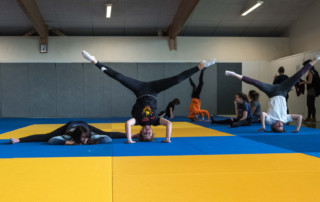Rencontres Régionales des Ecoles de Cirque Rennes 2018 - Ecole de cirque En Piste! Cesson-Sévigné - Rennes Metropole
