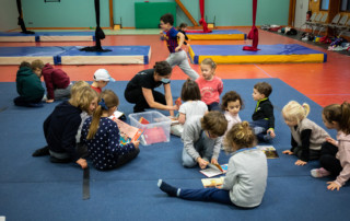 Stage de cirque